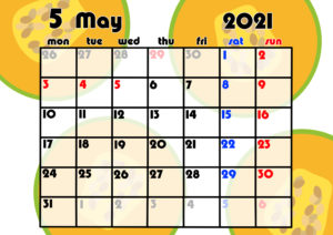 2021年月間カレンダー　果物　フルーツ　令和3年5月　メロン