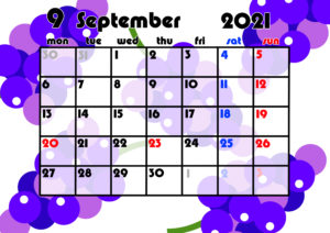 2021年月間カレンダー　果物　フルーツ　令和3年9月　ぶどう